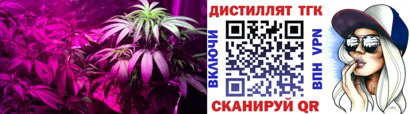 Дистиллят ТГК гашишное масло  где купить наркотик  Кандалакша 